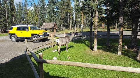 Banded Peak Veterinary Hosp