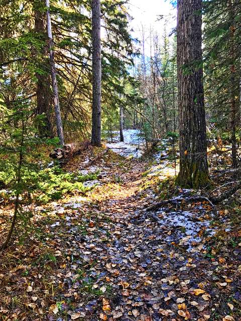 Ware Creek Provincial Recreation Area Ware Creek Provincial Recreation Area